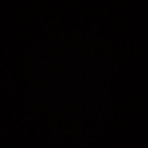 Meet your Posher, Sasha